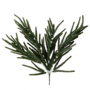 Dekoratívna rastlina