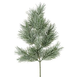 Dekoratívna rastlina